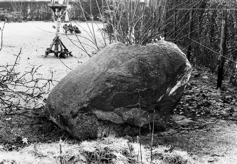 Deurningerstraat 401 ligt een grote zwerfkei in de achtertuin.jpg