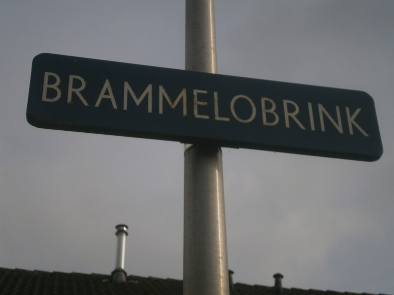 Brammelobrink straatnaambord.JPG