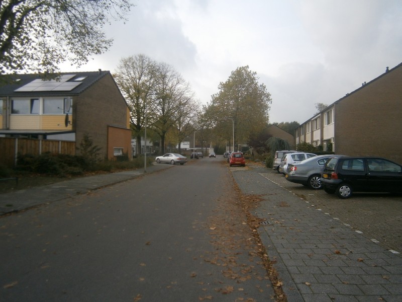 Beltrumbrink.JPG