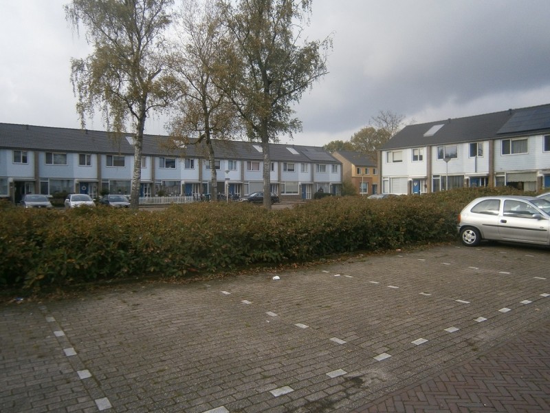 Rekkenbrink (2).JPG