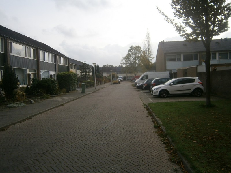 Oldenkottebrink (3).JPG