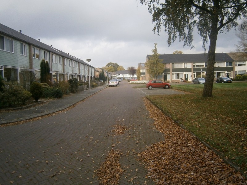 Oldenkottebrink (2).JPG