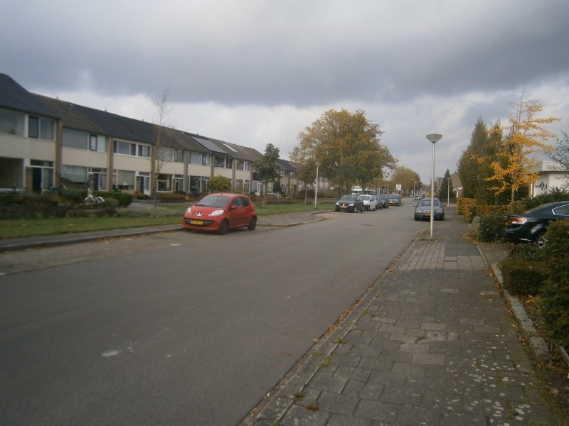 Holthuizenbrink (2).JPG