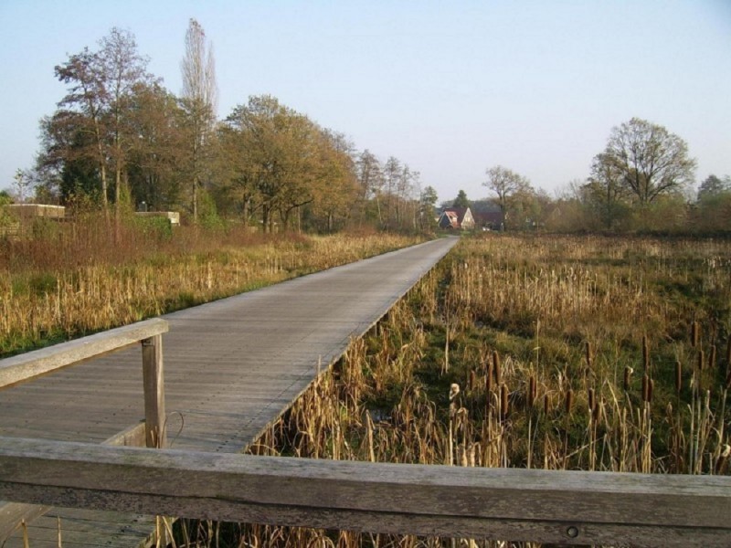 Rietveldweg.JPG