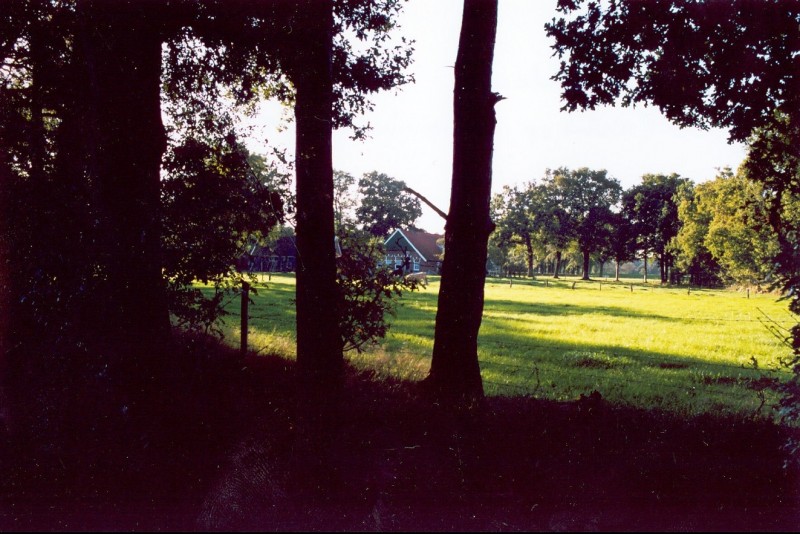 Haverkateweg 2000 Uitzicht op boerderij aan de Geessinkweg 365.jpg