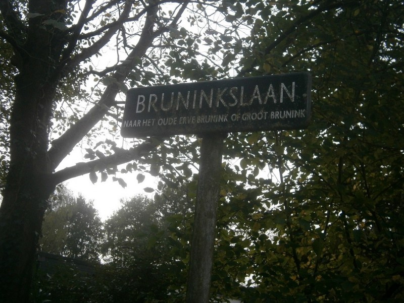 Bruninkslaan straatnaambord.JPG