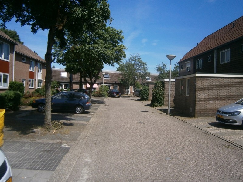 Hidderhoek.JPG