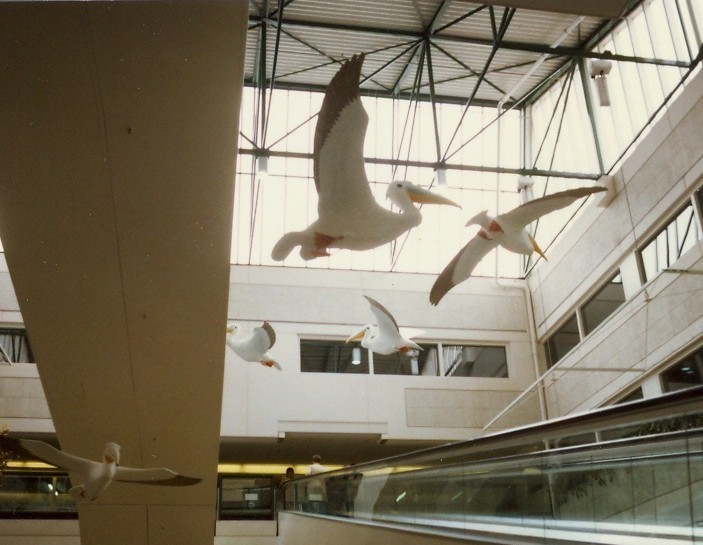 Zuidmolen 1987  Pelikanen in vide van kunstenaar Jawik.jpg