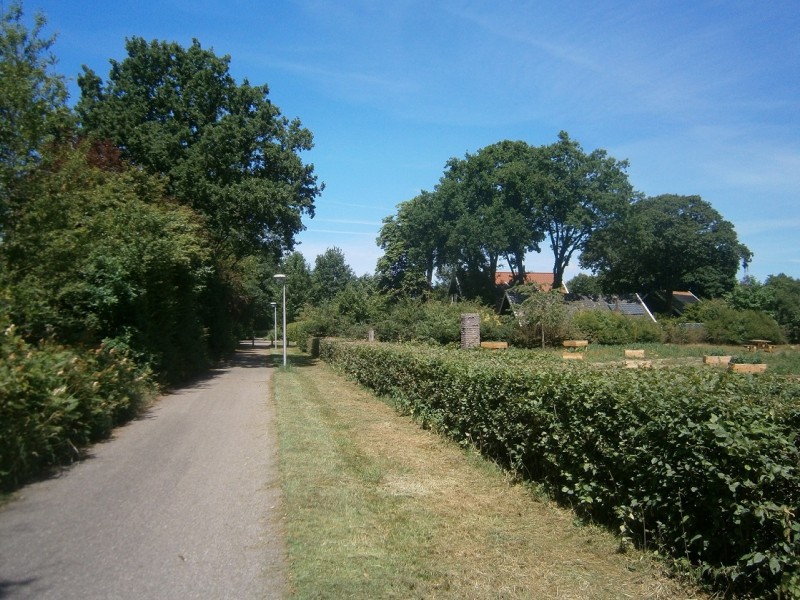 Boswinkelbeekweg vanaf Oude Dijk.JPG