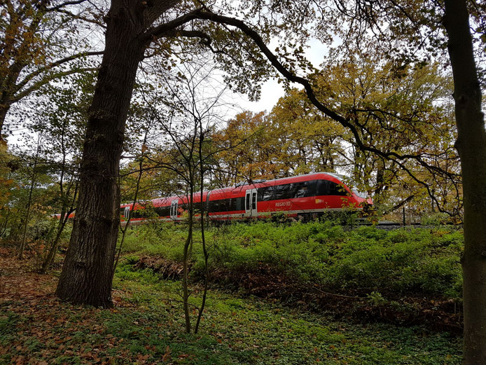 Vanaf 2026 razendsnel met de trein tussen Münster en Enschede.jpg