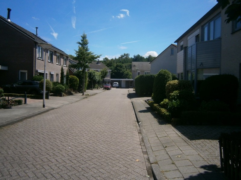Grimberghoek (2).JPG