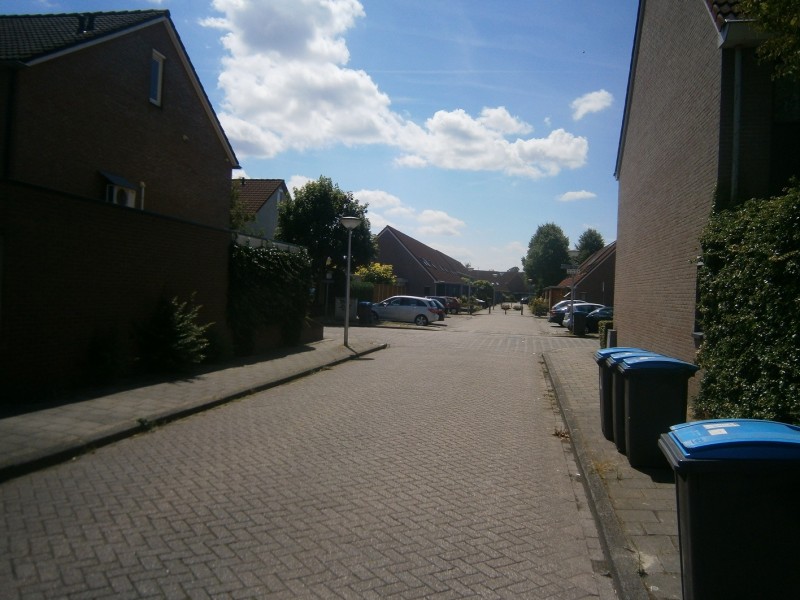 Scherpenzeelhoek (2).JPG
