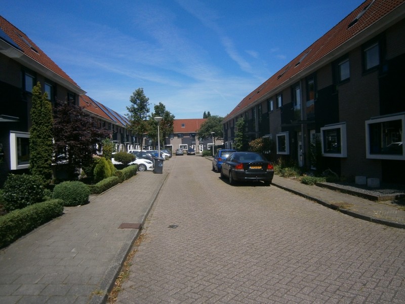 Scherpenzeelhoek.JPG