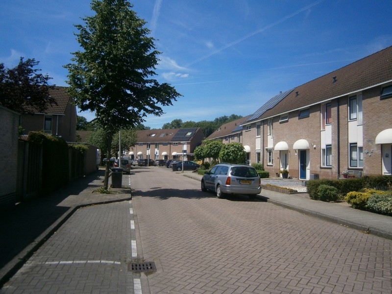 Reygershòftehoek.JPG