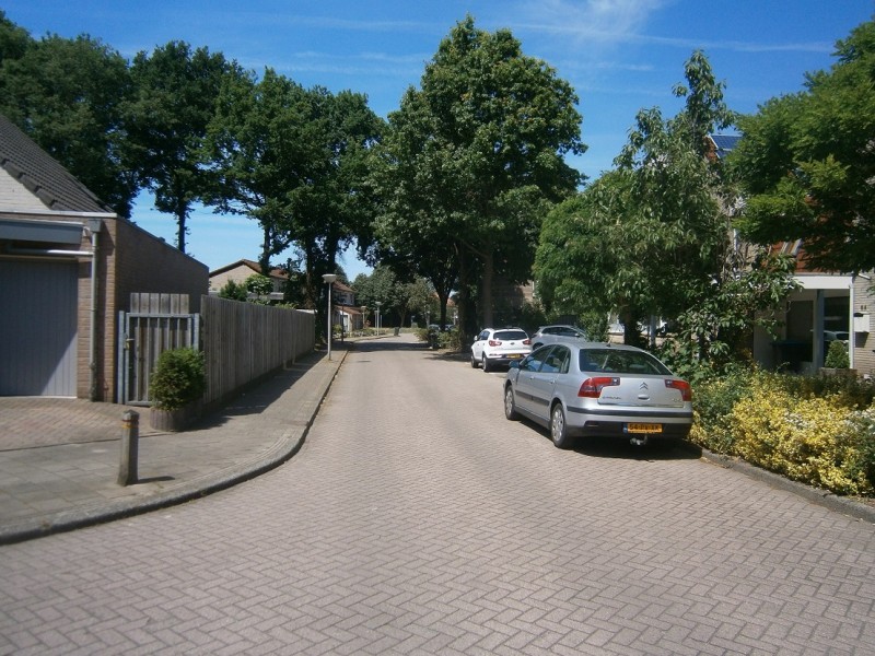 Reygershòftehoek (2).JPG