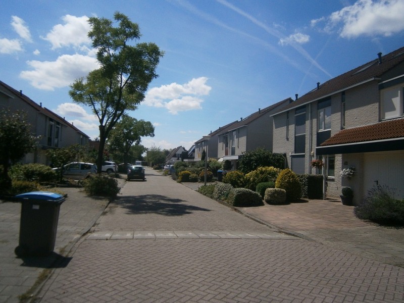 Berriehoek (2).JPG