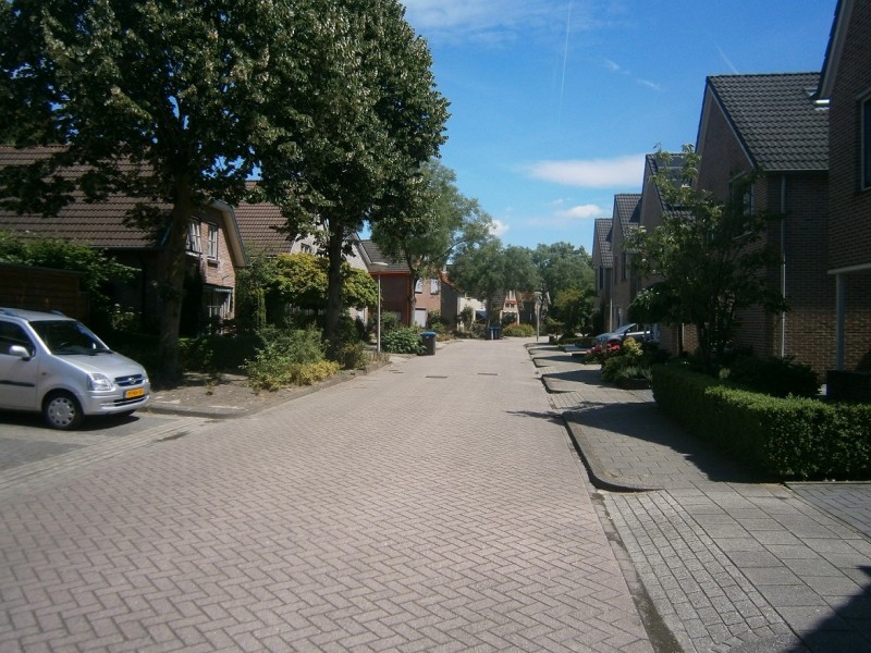 Berriehoek.JPG