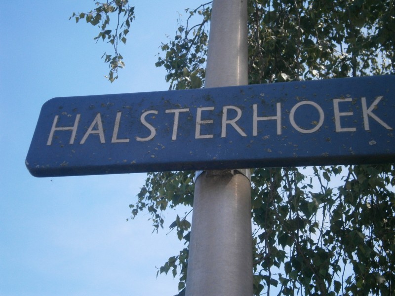 Halsterhoek straatnaambord.JPG