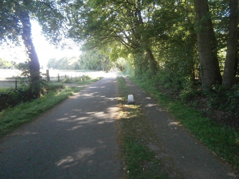 Jacobsrietweg vanaf Usselerveenweg.JPG