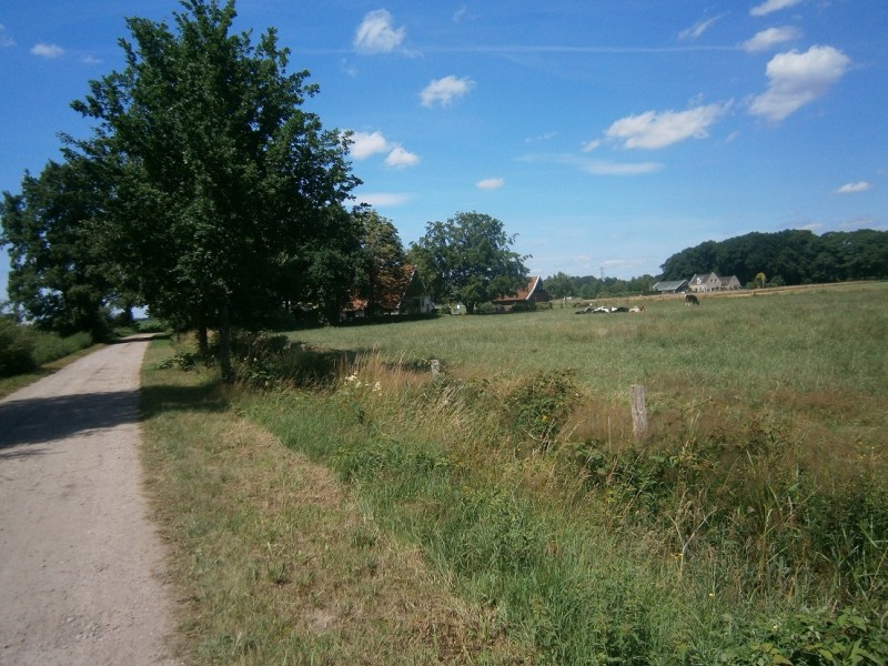 Borgweg (3).JPG