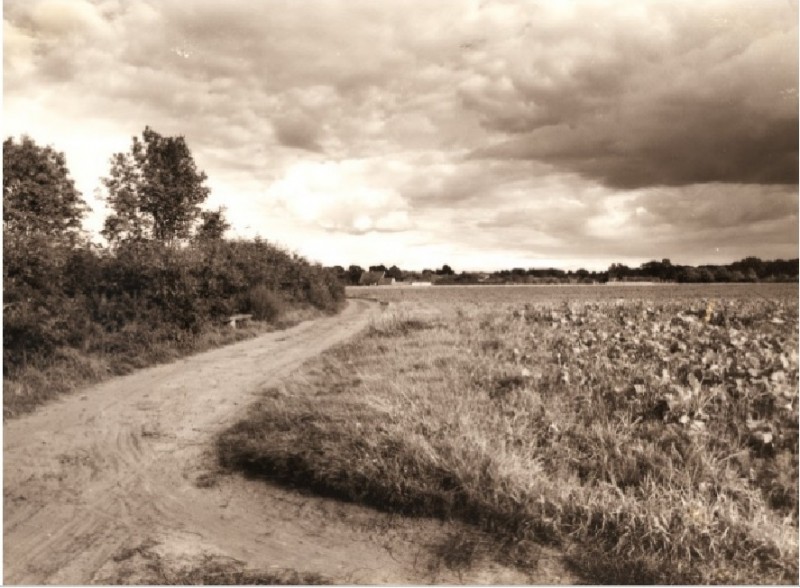 Vanekerweg (later Vanekerstraat), ten oosten van de kruising met de Deppenbroeksweg gezien in oostelijke richting 1960.jpg