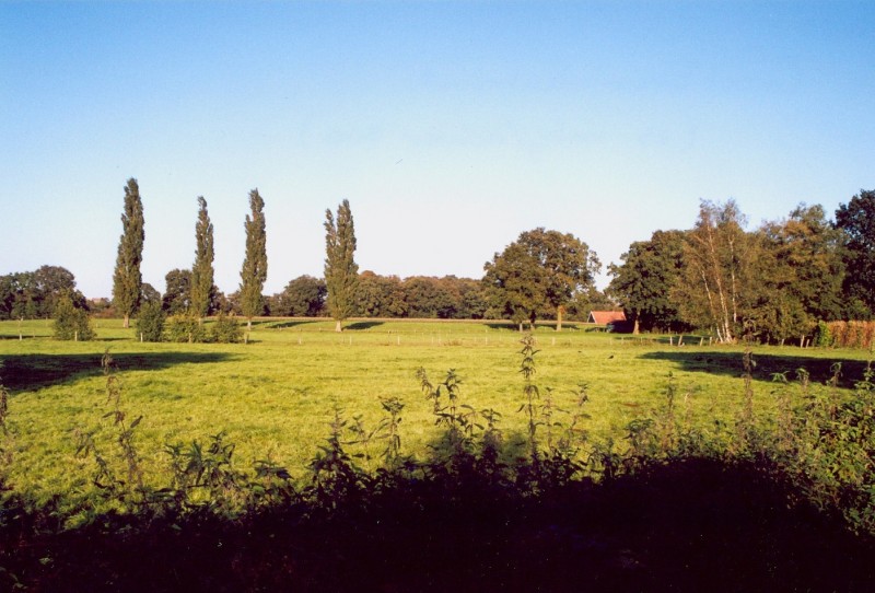 Groot Bruninkstraat 2000  De es nabij Geessinkweg 300.jpg