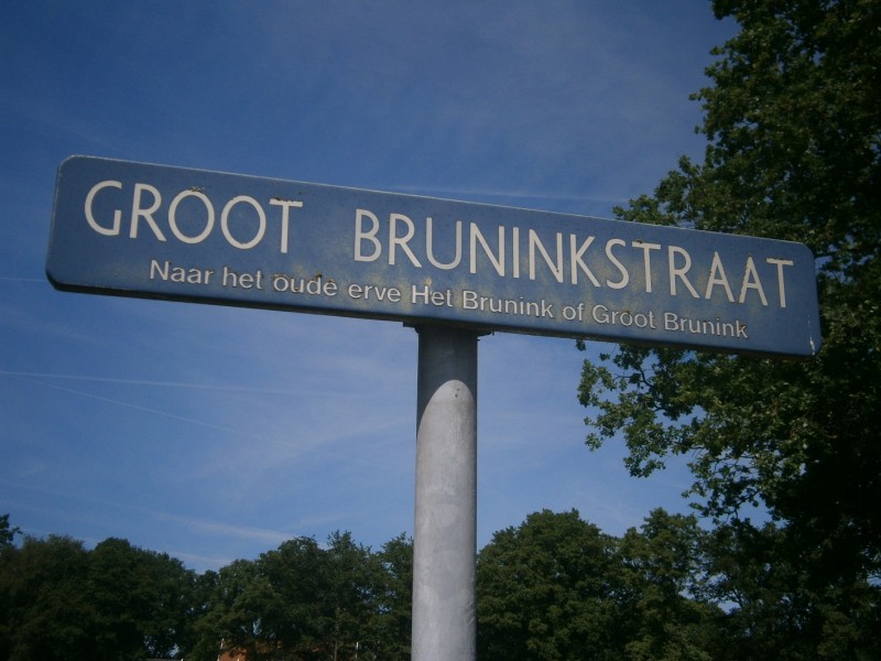 Groot Bruninkstraat straatnaambord (2).JPG