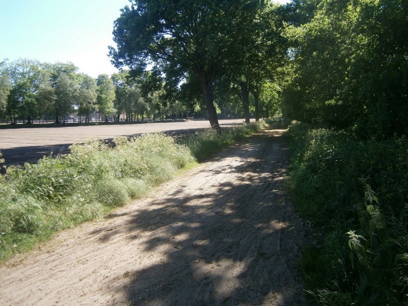 Rosinkweg vanaf Wissinksdijk richting Broekmaatweg.JPG