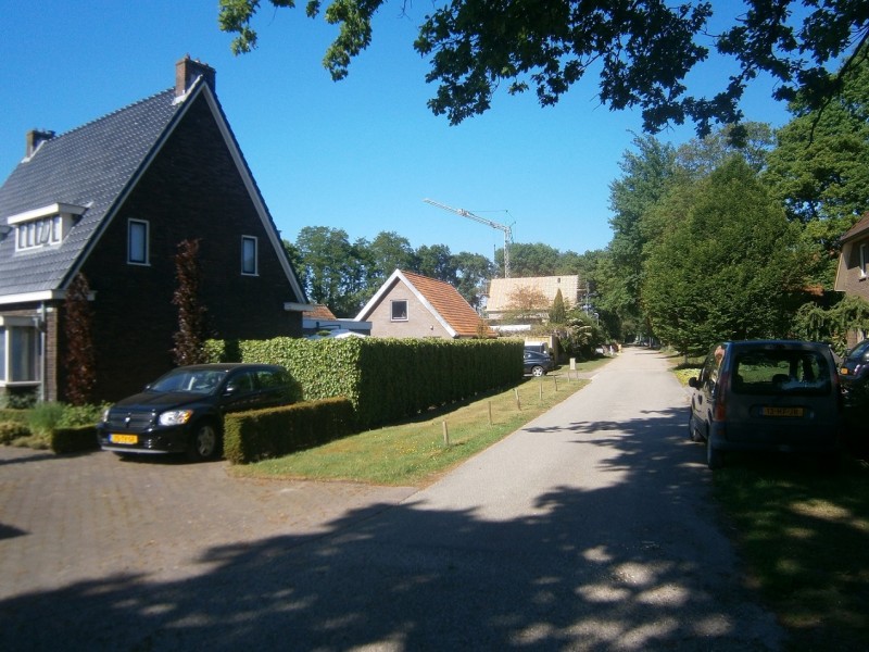 Rosinkweg vanaf Wissinksdijk richting Boekelosestraat.JPG