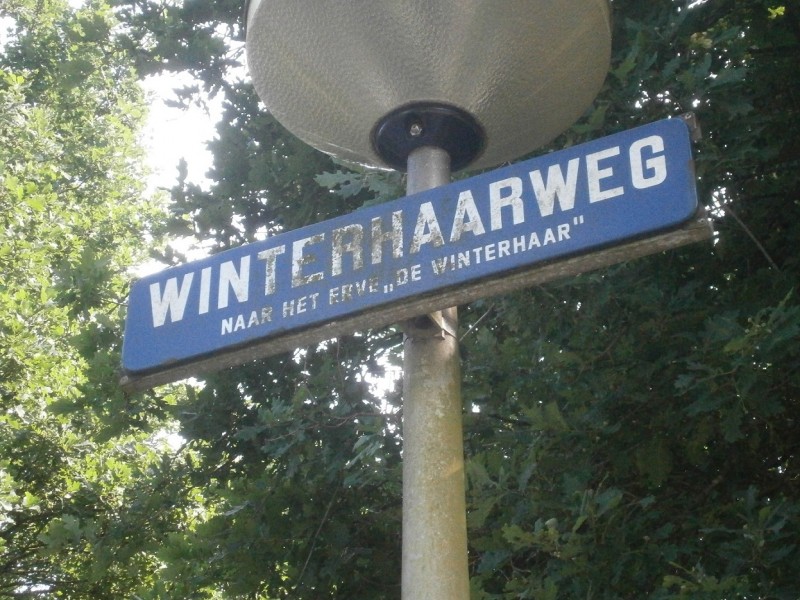Winterhaarweg straatnaambord.JPG