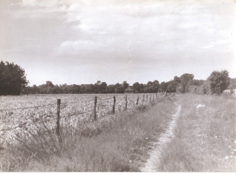 Broekmaatweg 1935 Landschap nabij Usselo.jpg