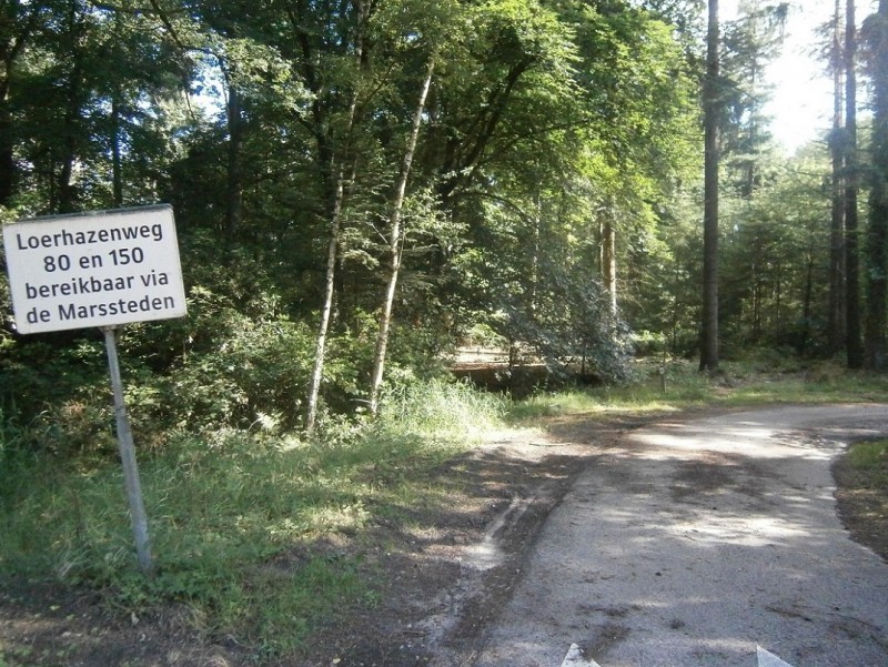 Loerhazenweg vanaf Windmolenweg.JPG