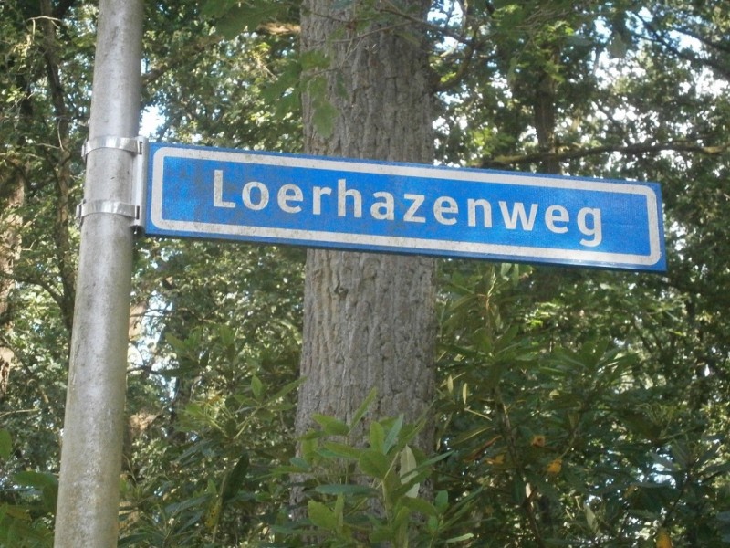 Loerhazenweg straatnaambord (2).JPG