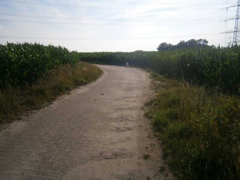 Ruilverkavelingsweg vanaf Usselerrondweg.JPG
