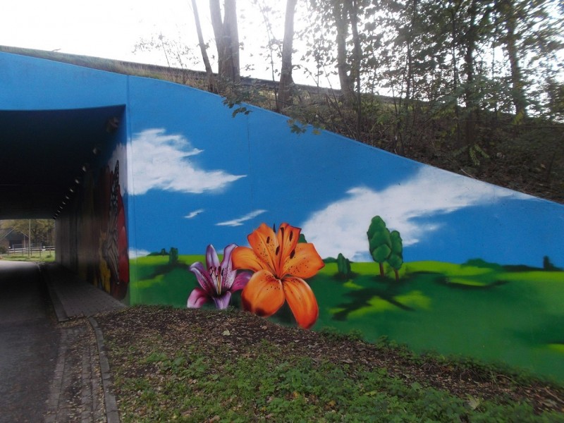 Geerdinkweg tunnel onder Westerval van Usseler Es naar Marssteden (2).JPG