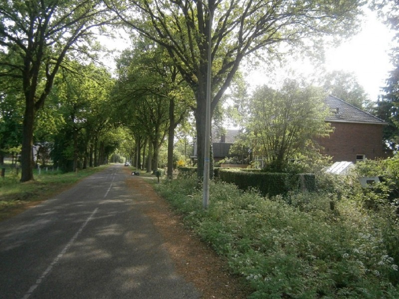 Geerdinkszijdeweg richting Twekkelerbeekweg.JPG