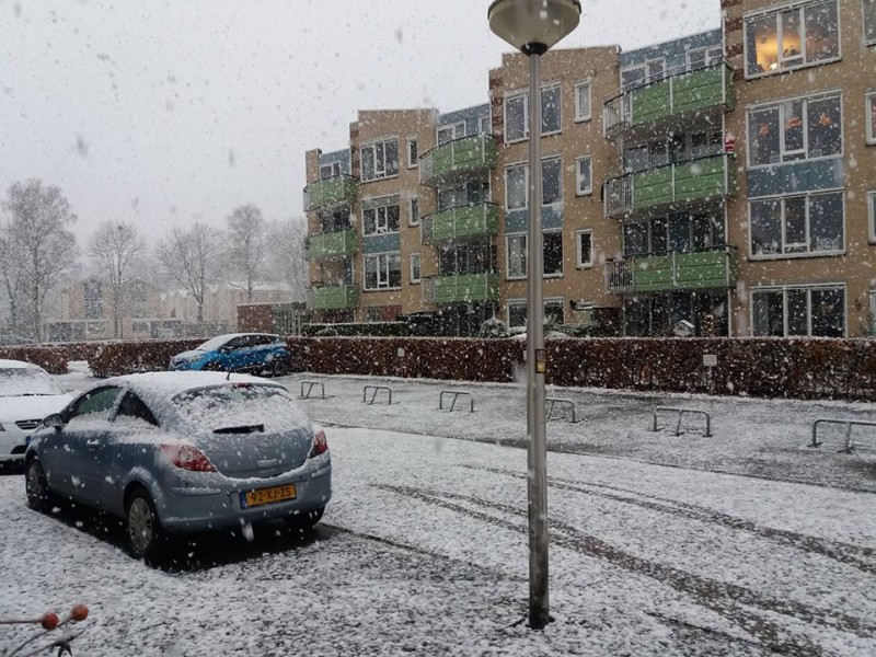 Adriaen van Ostadestraat sneeuw 9-12-2017.jpg