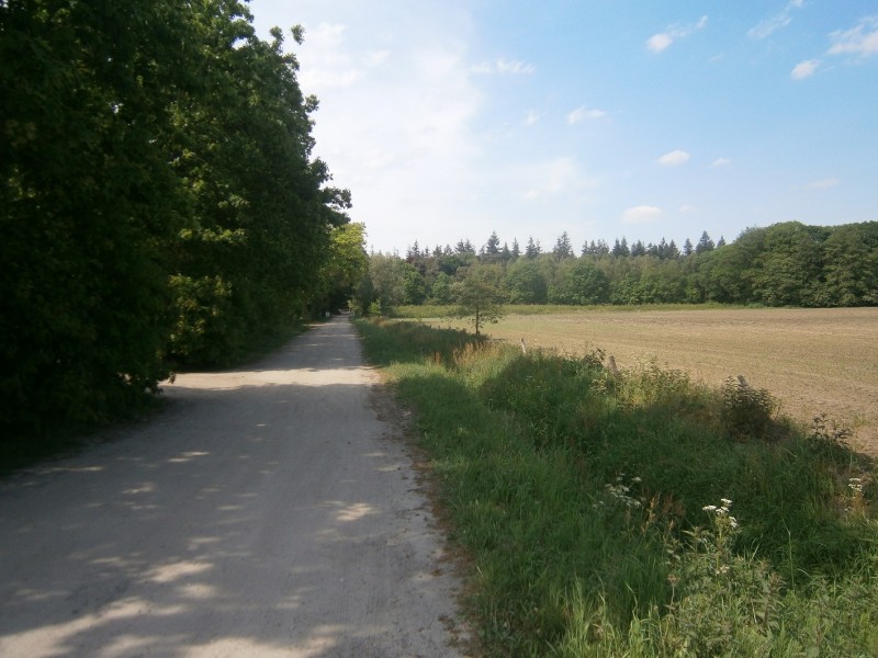 Zwartevennenweg vanaf Windmolenweg.JPG