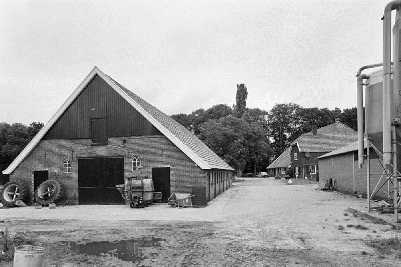 Boekelerhofweg 75 ligboxenstal met de boerderij op de achtergrond.jpg