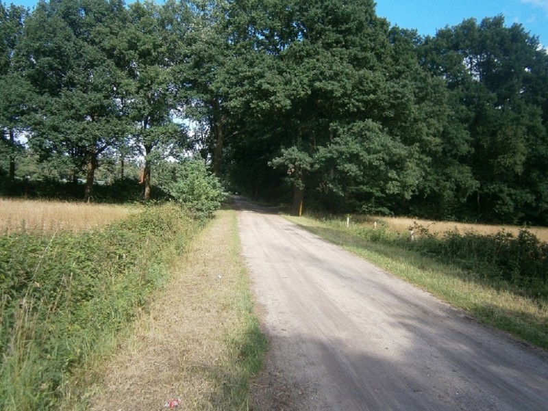 Hofdijk vanaf Haimersweg.JPG