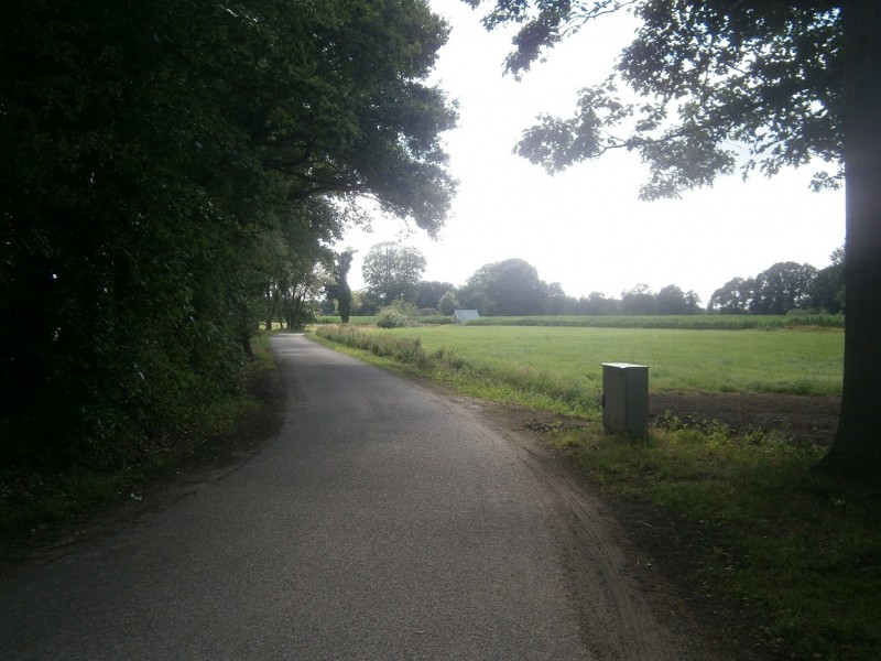 Boerstege vanaf Burgemeester Stroinkstraat.JPG
