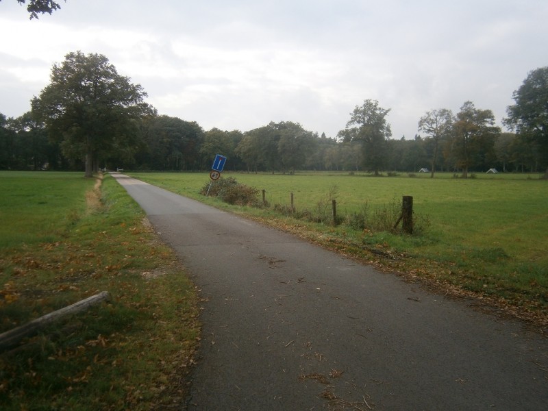 Wilgenkampweg.JPG