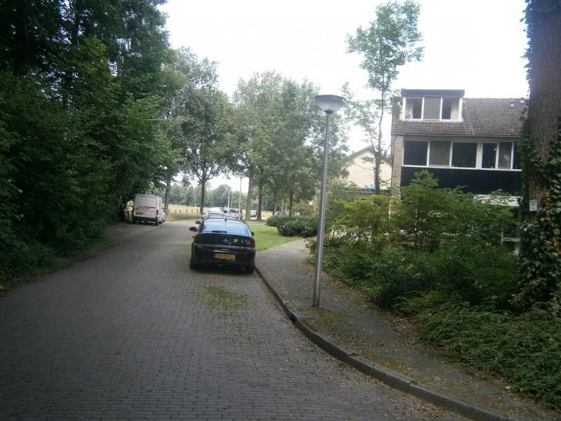 Doolhof vanaf Boterdijk.JPG