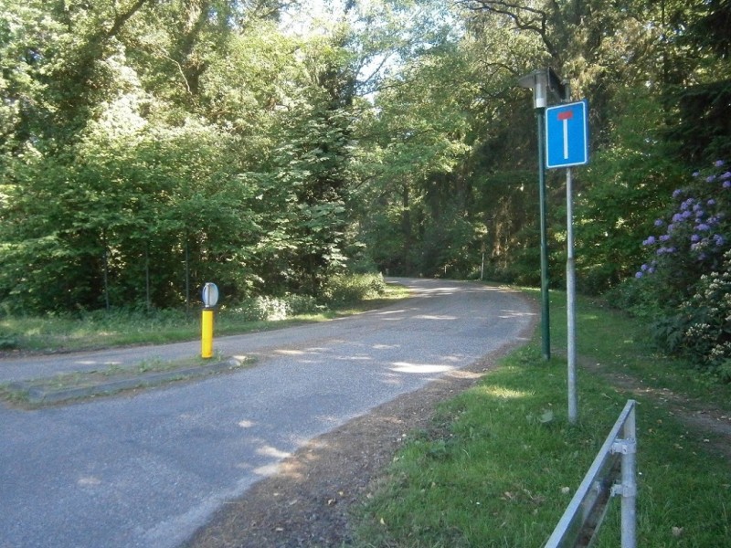 Landsteinerlaan vanaf Boekelosestraat.JPG