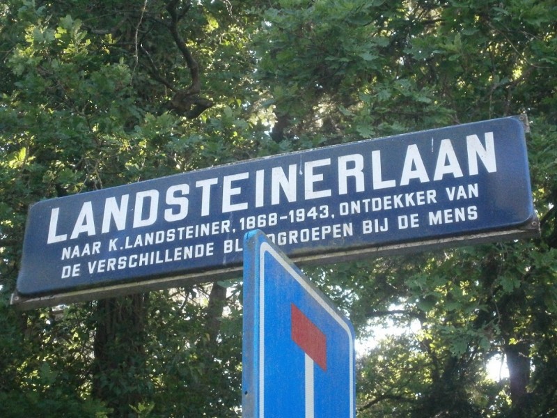 Landsteinerlaan straatnaambord.JPG