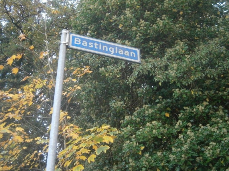 Bastinglaan straatnaambord.JPG