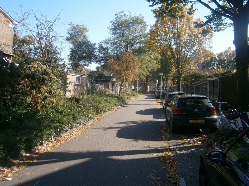 Dr. Cornelus Koekstraat Boekelo.JPG