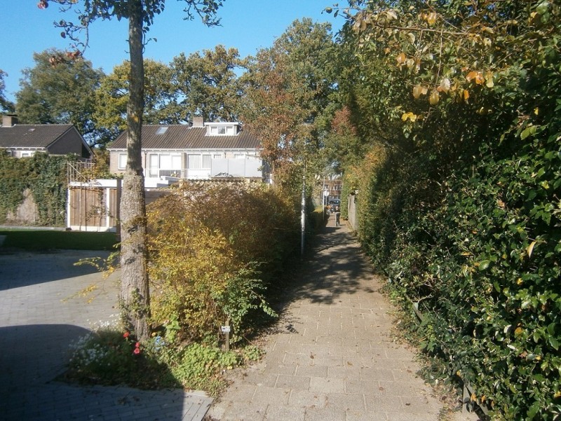 Veldgaardestraat Boekelo.JPG