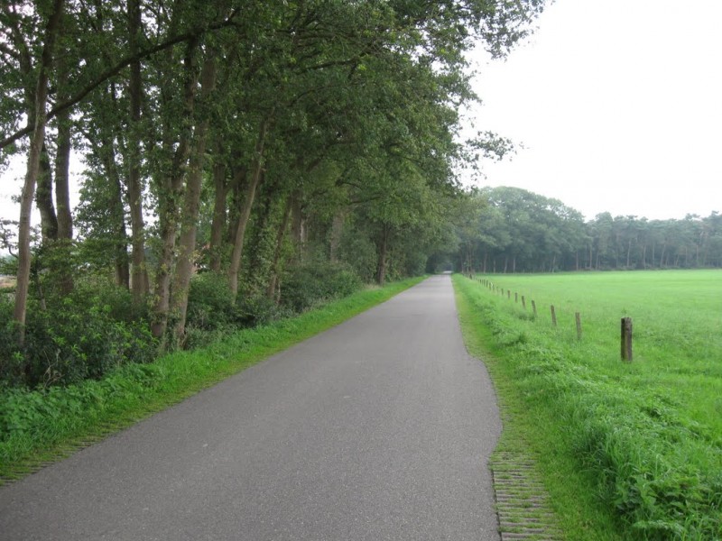 Goorseveldweg nabij Boekelo.jpg