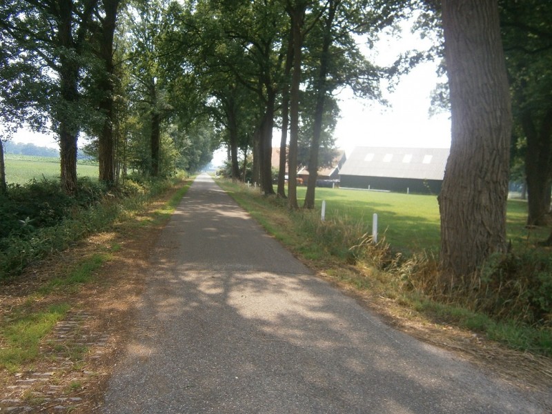 Twistveenweg.JPG